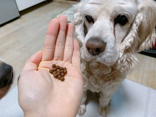 cobemom님이 올린 리뷰 사진 4