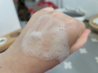 MF프리 [닥터문] 유산균 락토케어 질경초 여성청결제 200ml (폼타입) — 5점을 준 리뷰어가 2022년 7월 올린 사용 사진