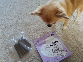 My Pet Care 천연단백질 치아건강에 개좋아 — 5점을 준 리뷰어가 2021년 1월 올린 사용 사진