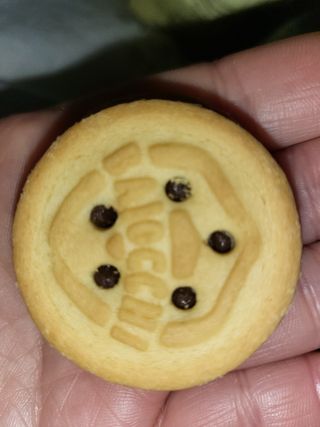바릴라 몰리노비앙코 쿠키 3종_판디스텔라,쿠오리치니,바이오치 — 5점을 준 리뷰어가 2021년 12월 올린 사용 사진