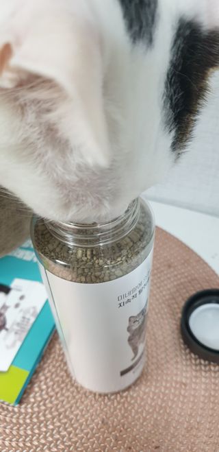 SeulonPark님이 올린 리뷰 사진 4