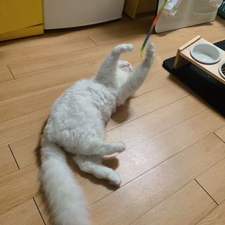 슈님이 올린 리뷰 사진 3