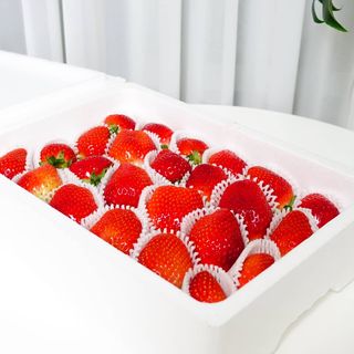 옳음 딸기 논산 설향 딸기 900g 산지직송 — 5점을 준 리뷰어가 2021년 2월 올린 사용 사진