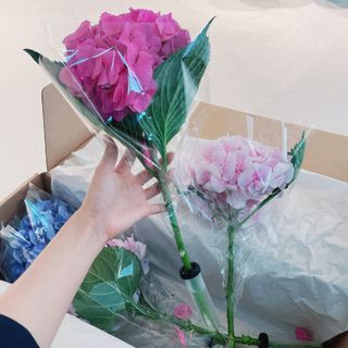 꼼꼼한올이님이 올린 리뷰 사진 2