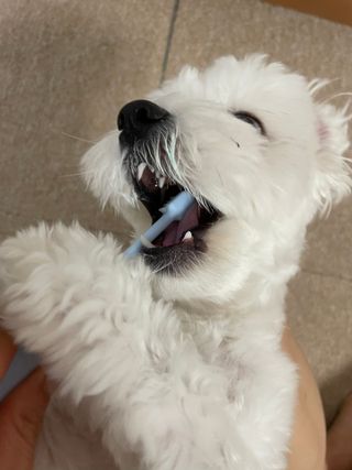 냥냥이님이 올린 리뷰 사진 4