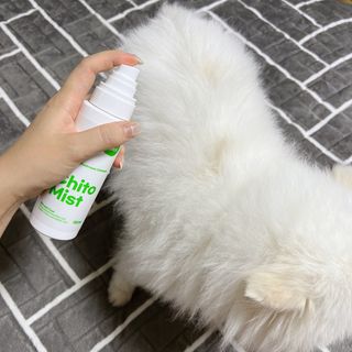 whol 키토미스트 150ml + 실리콘바디브러쉬  강아지 고양이 항균항바이러스, 강력탈취 피부 보습,무향 — 4.5점을 준 리뷰어가 2022년 9월 올린 사용 사진