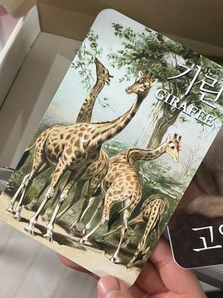 July님이 올린 리뷰 사진 4