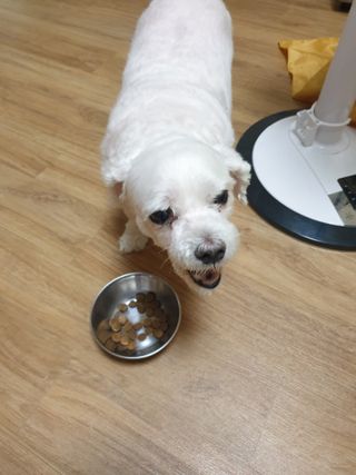 진진이님이 올린 리뷰 사진 3