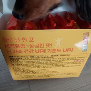 광동제약 [광동] 비타500데일리스틱 70포X2개 + 뚱랑이엽서 + 쇼핑백 증정 — 4점을 준 리뷰어가 2022년 1월 올린 사용 사진
