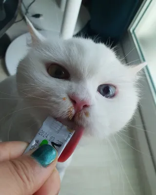 poochi님이 올린 리뷰 사진 1