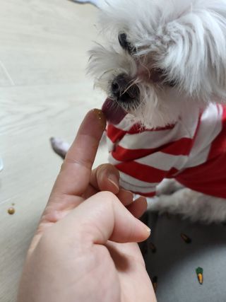 찌니님이 올린 리뷰 사진 3