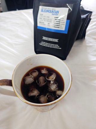500g  / 갓 볶은 신선한 스페셜티 원두 커피! 커피킹 — 5점을 준 리뷰어가 2023년 10월 올린 사용 사진