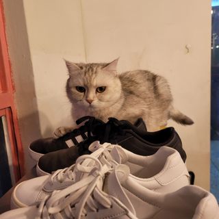 루나님이 올린 리뷰 사진 1
