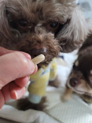 나초단맘님이 올린 리뷰 사진 2