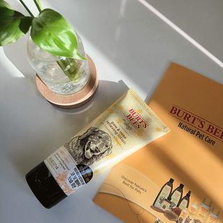 솜솜이2님이 올린 리뷰 사진 2