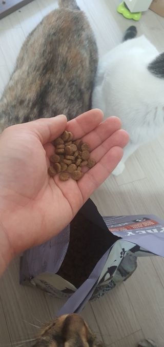 고양이망고님이 올린 리뷰 사진 4