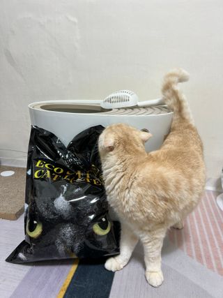 SoYeonPark님이 올린 리뷰 사진 2