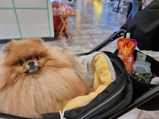 아롱이님이 올린 리뷰 사진 3