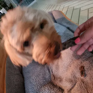 기린짱맘님이 올린 리뷰 사진 3