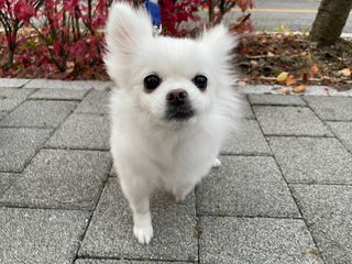 설아리님이 올린 리뷰 사진 2