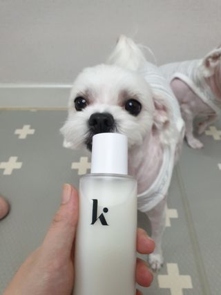 뽀야님이 올린 리뷰 사진 4