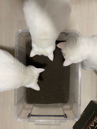 모너아리님이 올린 리뷰 사진 1