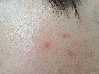 텃새님이 올린 리뷰 사진 4