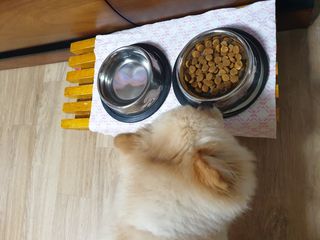 맹고님이 올린 리뷰 사진 3