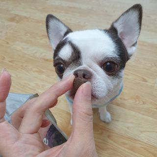 mini unni님이 올린 리뷰 사진 2