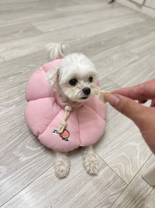 라임님이 올린 리뷰 사진 1