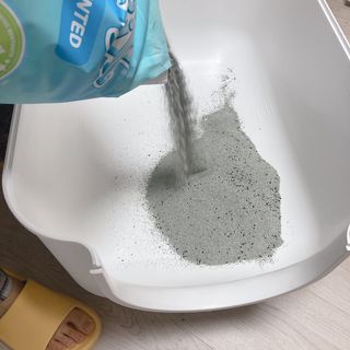 행운의집 실키식스 9kg 크린 언씬티드 프리미엄 고양이모래 — 5점을 준 리뷰어가 2021년 3월 올린 사용 사진