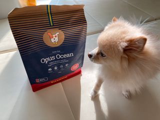 yoniyoni님이 올린 리뷰 사진 2