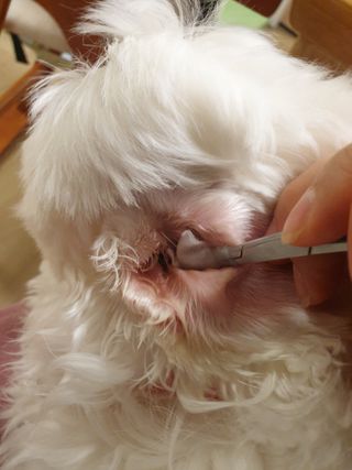하루룽님이 올린 리뷰 사진 3