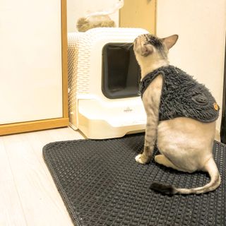동네부기님이 올린 리뷰 사진 3