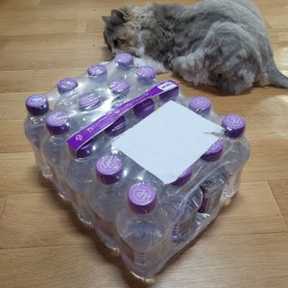 몽베스트 [MONTBEST] 330mL 20병 — 5점을 준 리뷰어가 2021년 10월 올린 사용 사진