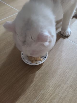 상어오리님이 올린 리뷰 사진 3