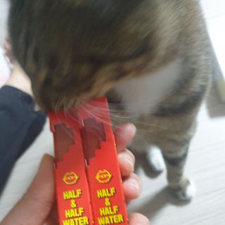 이째님이 올린 리뷰 사진 1