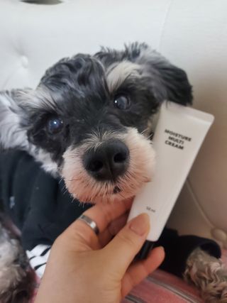하희님이 올린 리뷰 사진 1