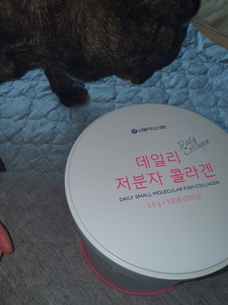 탱탱볼님이 올린 리뷰 사진 3
