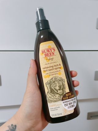 연쨩님이 올린 리뷰 사진 1