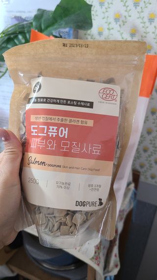 도그퓨어 피부와모질/혼합유산균/글루코사민 유기농 로스팅 사료 — 4점을 준 리뷰어가 2021년 9월 올린 사용 사진