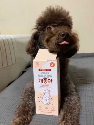 My Pet Care 모발과 모질 피부건강에 개좋아 — 4점을 준 리뷰어가 2020년 12월 올린 사용 사진