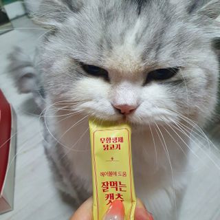 슬뷰님이 올린 리뷰 사진 2
