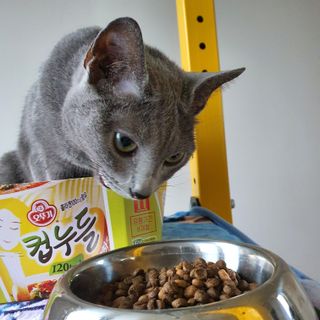 woo_maa님이 올린 리뷰 사진 3