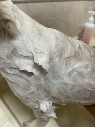 지레씨님이 올린 리뷰 사진 1