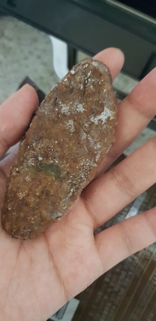 한성기업 명란한 떡갈비 — 5점을 준 리뷰어가 2021년 9월 올린 사용 사진