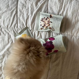 딜라이트 프로젝트 바삭한 원물칩 3종 고구마칩, 자색고구마칩, 느타리버섯칩 [총 6봉지] — 5점을 준 리뷰어가 2022년 3월 올린 사용 사진