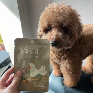 투밍님이 올린 리뷰 사진 4