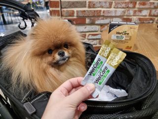아롱이님이 올린 리뷰 사진 2