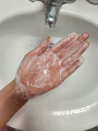 나노힐 르비에메르 소이 샴푸 300ml 구매평 — 5점을 준 리뷰어가 2024년 7월 올린 사용 사진